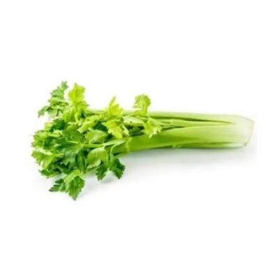 芹菜:100斤起批发