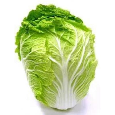 白菜:100斤起批发